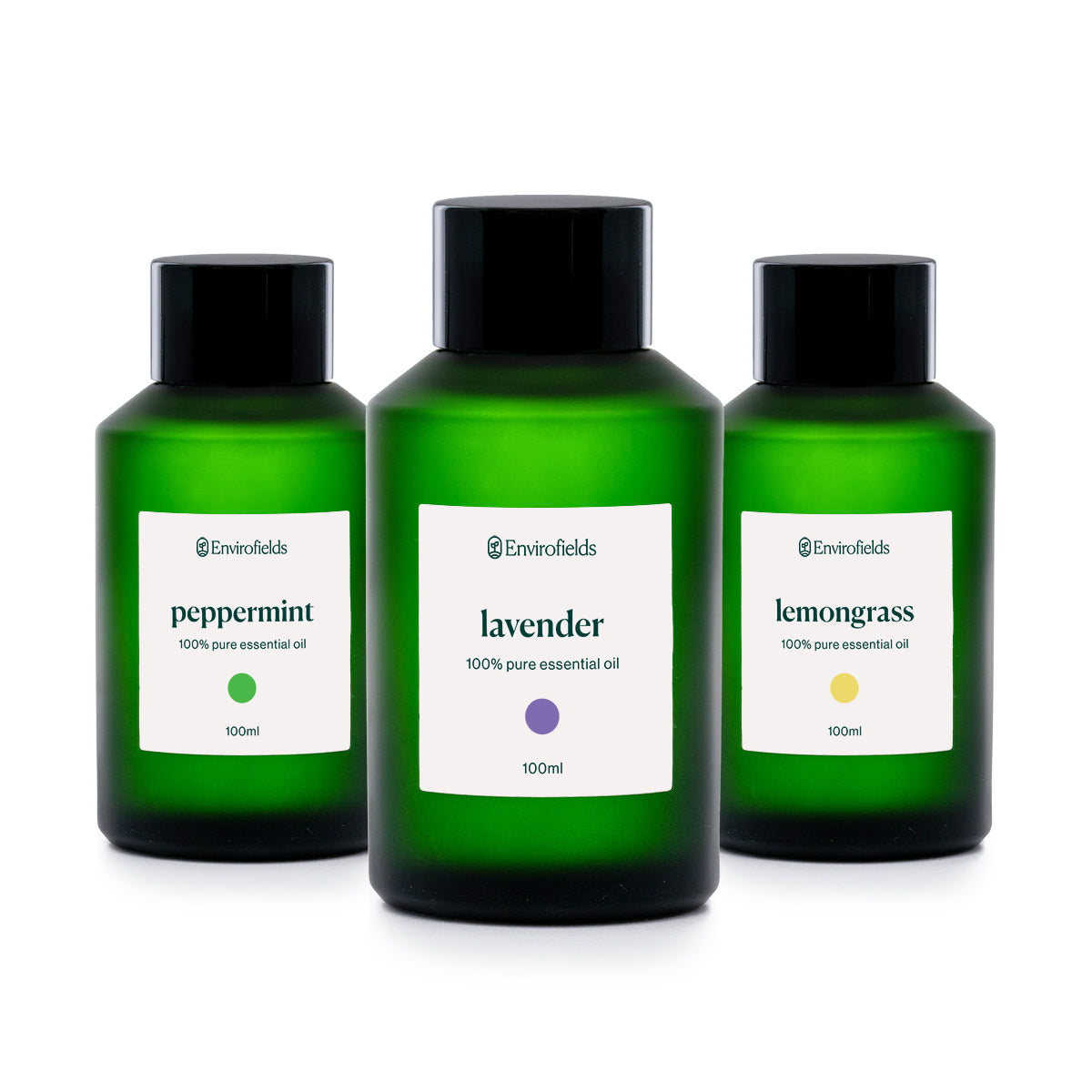 Aromatherapy Starter Bundle